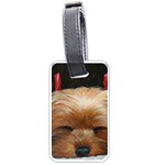 Sleeping Yorkie Painting Scan 300dpi Retouched Copy Luggage Tag (two sides)