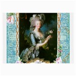 Marie Antoinette Pink Roses And Blue 6 By 8 Copy Glasses Cloth (Large)