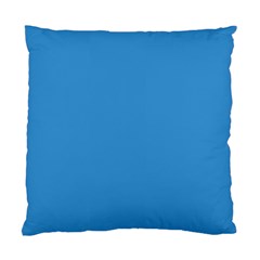 blue pillow back for chinese crested Cushion Case (Two Sides) from ArtsNow.com Back