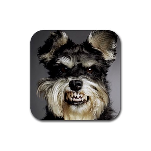 Animals Dogs Funny Dog 013643  Rubber Coaster (Square) from ArtsNow.com Front