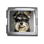 Animals Dogs Funny Dog 013643  Mega Link Italian Charm (18mm)