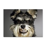 Animals Dogs Funny Dog 013643  Sticker A4 (10 pack)