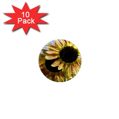 Double Sun 1  Mini Magnet (10 pack)  from ArtsNow.com Front