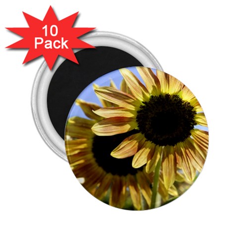Double Sun 2.25  Magnet (10 pack) from ArtsNow.com Front
