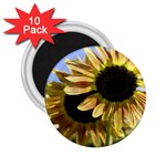 Double Sun 2.25  Magnet (10 pack)
