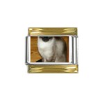 Your design Gold Trim Italian Charm (9mm)
