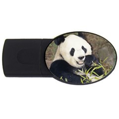 USB Flash Drive Oval (4 GB)