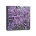 Mini Canvas 4  x 4  (Stretched) 