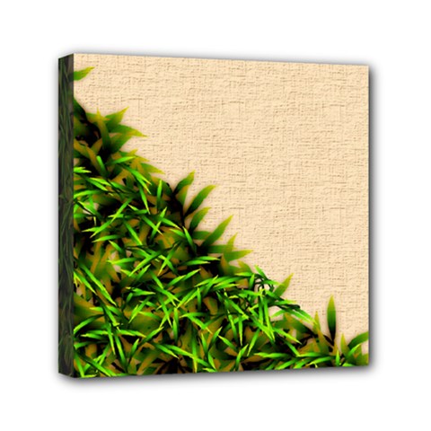 Papyrus1 Mini Canvas 6  x 6  (Stretched) from ArtsNow.com