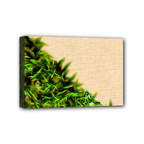 Papyrus1 Mini Canvas 6  x 4  (Stretched) from ArtsNow.com
