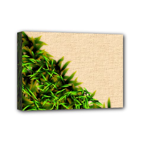 Papyrus1 Mini Canvas 7  x 5  (Stretched) from ArtsNow.com