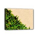 Mini Canvas 7  x 5  (Stretched) 