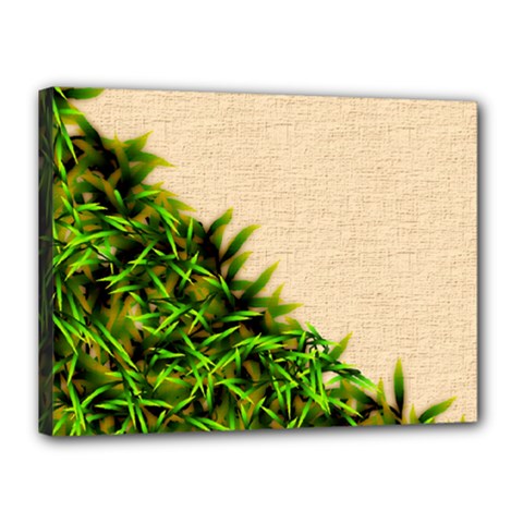 Papyrus1 Canvas 16  x 12  (Stretched) from ArtsNow.com