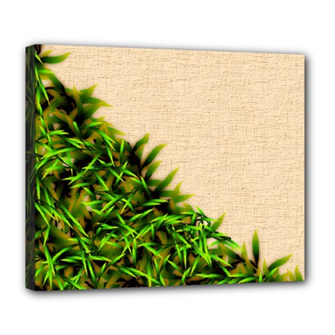 Papyrus1 Deluxe Canvas 24  x 20  (Stretched) from ArtsNow.com