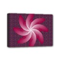 Mini Canvas 7  x 5  (Stretched) 
