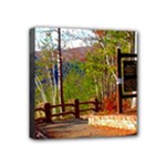 Leo Harrison St Pk  Path 8 Turkey Path Mini Canvas 4  x 4  (Stretched)