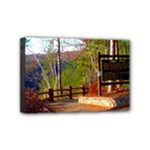 Leo Harrison St Pk  Path 8 Turkey Path Mini Canvas 6  x 4  (Stretched)