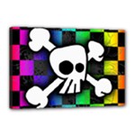 Checker Rainbow Skull Canvas 18  x 12  (Stretched)