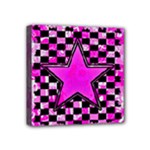 Pink Star Mini Canvas 4  x 4  (Stretched)