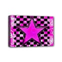 Mini Canvas 6  x 4  (Stretched) 