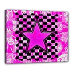 Pink Star Canvas 20  x 16  (Stretched)