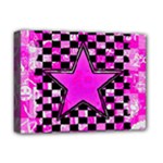 Pink Star Deluxe Canvas 16  x 12  (Stretched) 