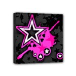 Pink Star Design Mini Canvas 4  x 4  (Stretched)