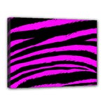 Pink Zebra Canvas 16  x 12  (Stretched)