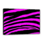 Pink Zebra Canvas 18  x 12  (Stretched)