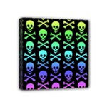 Rainbow Skull and Crossbones  Mini Canvas 4  x 4  (Stretched)