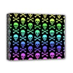 Rainbow Skull and Crossbones  Deluxe Canvas 14  x 11  (Stretched)