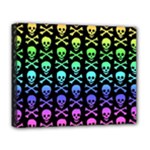 Rainbow Skull and Crossbones  Deluxe Canvas 20  x 16  (Stretched)