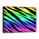 Rainbow Tiger Canvas 16  x 12  (Stretched)