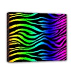 Rainbow Zebra Canvas 10  x 8  (Stretched)