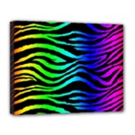 Rainbow Zebra Canvas 14  x 11  (Stretched)