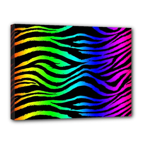Rainbow Zebra Canvas 16  x 12  (Stretched) from ArtsNow.com