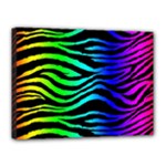 Rainbow Zebra Canvas 16  x 12  (Stretched)