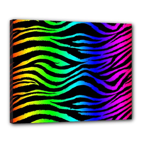 Rainbow Zebra Canvas 20  x 16  (Stretched) from ArtsNow.com