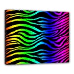 Rainbow Zebra Canvas 20  x 16  (Stretched)