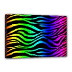 Rainbow Zebra Canvas 18  x 12  (Stretched)