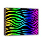 Rainbow Zebra Deluxe Canvas 14  x 11  (Stretched)