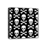 Skull and Crossbones Mini Canvas 4  x 4  (Stretched)