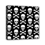 Skull and Crossbones Mini Canvas 6  x 6  (Stretched)