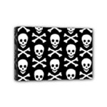 Skull and Crossbones Mini Canvas 6  x 4  (Stretched)