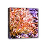  Purple Baby s Breath and Dried Orange Protea  by Ruth Edward Anderson - Mini Canvas 4  x 4  (Stretched)