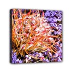  Purple Baby s Breath and Dried Orange Protea  by Ruth Edward Anderson - Mini Canvas 6  x 6  (Stretched)