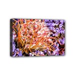  Purple Baby s Breath and Dried Orange Protea  by Ruth Edward Anderson - Mini Canvas 6  x 4  (Stretched)