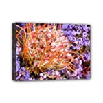  Purple Baby s Breath and Dried Orange Protea  by Ruth Edward Anderson - Mini Canvas 7  x 5  (Stretched)