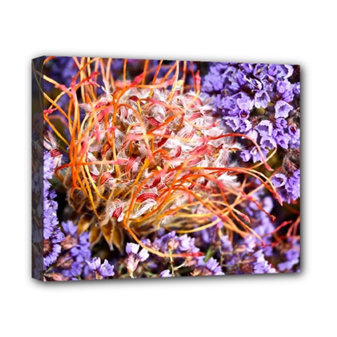  Purple Baby s Breath and Dried Orange Protea  by Ruth Edward Anderson