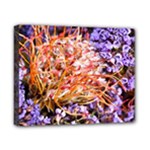  Purple Baby s Breath and Dried Orange Protea  by Ruth Edward Anderson - Canvas 10  x 8  (Stretched)